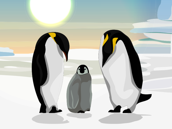 Protecting penguins