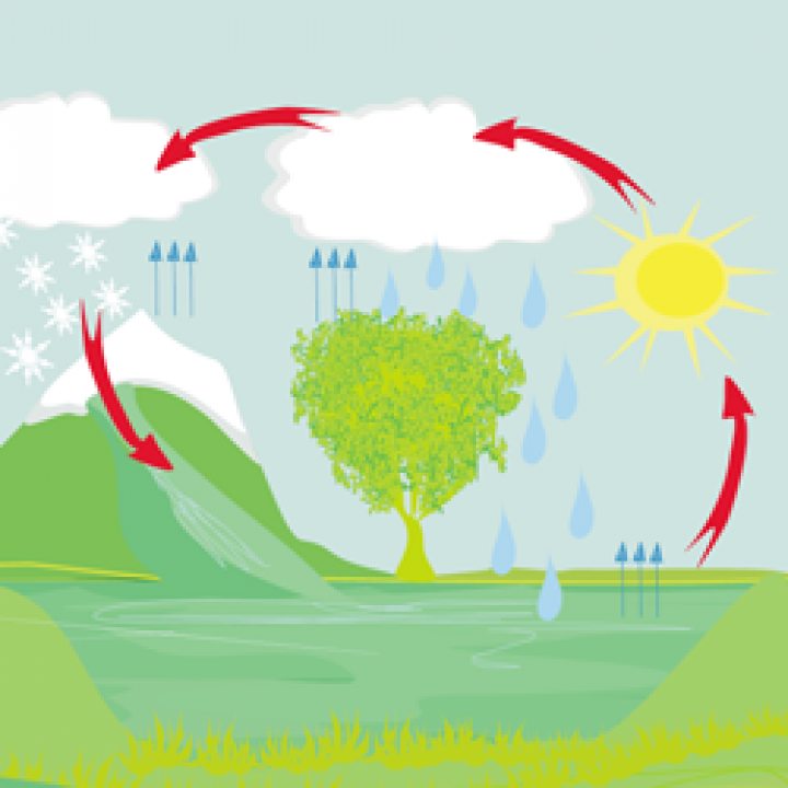 KS2: Dive into the water cycle